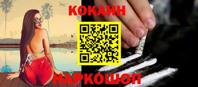 шишки Новодвинск