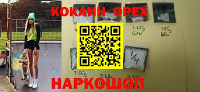 шишки Новодвинск