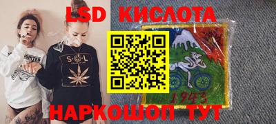 шишки Новодвинск
