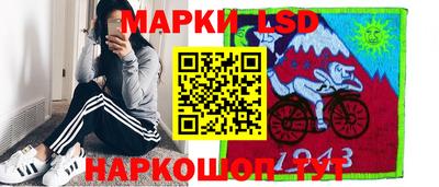 шишки Новодвинск