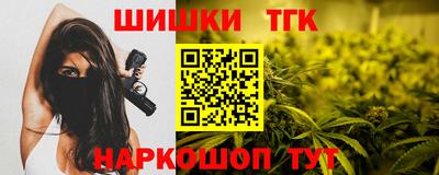 шишки Новодвинск