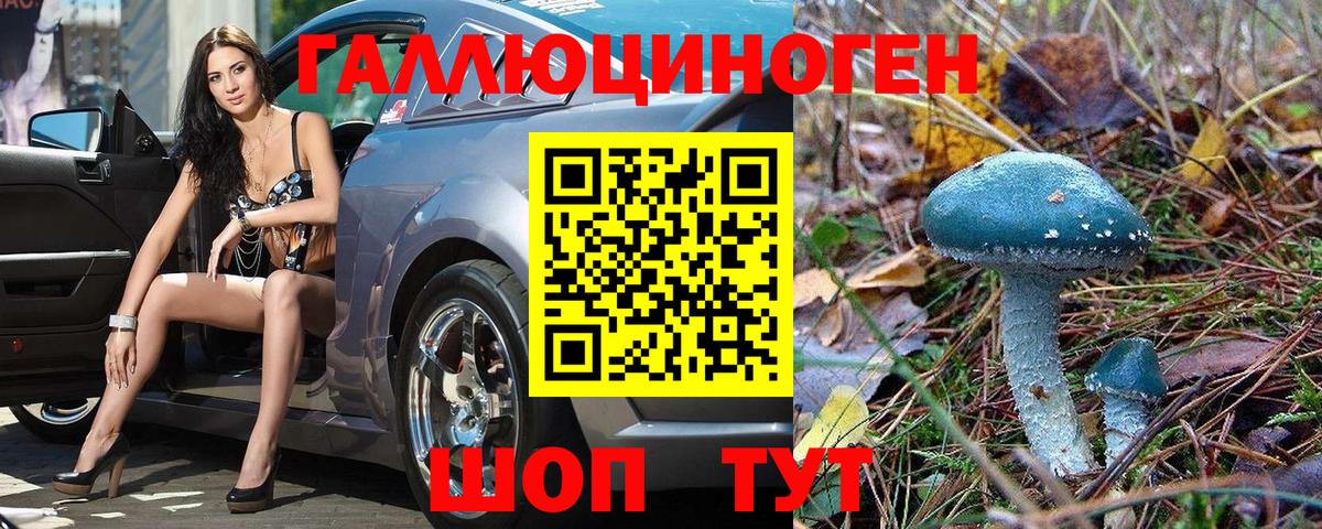 Галлюциногенные грибы Magic Shrooms  где купить наркоту  Среднеуральск  Вход с VPN 